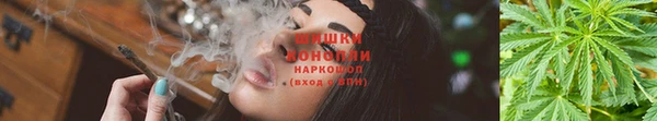 дмт Кущёвская