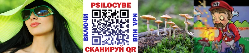 Галлюциногенные грибы MAGIC MUSHROOMS  хочу   Беломорск 